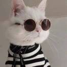 新手厨神祺妹儿