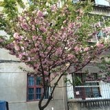 手机用户2796_8zcq