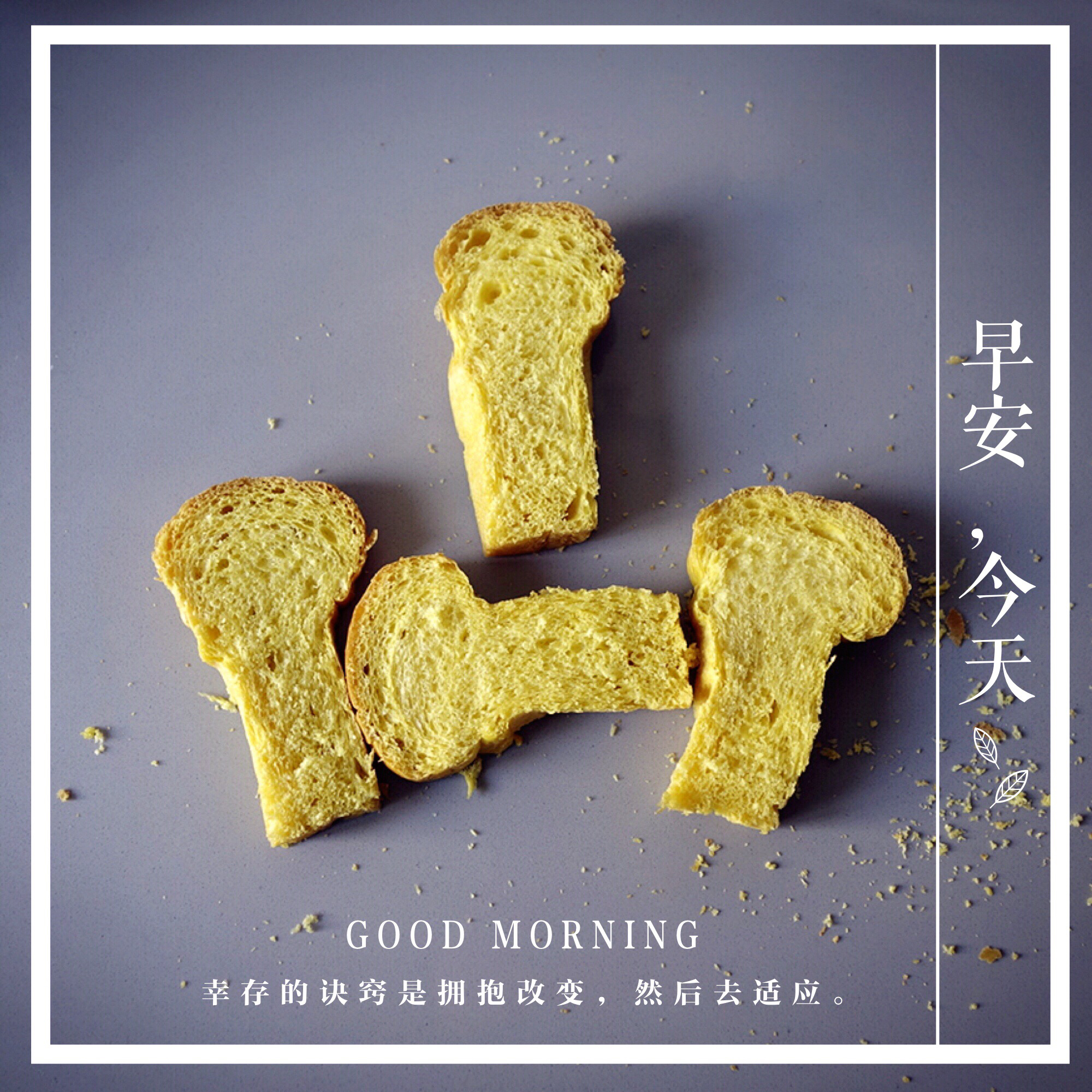 烤个萌萌的蘑菇头（大耳朵）吐司吧！