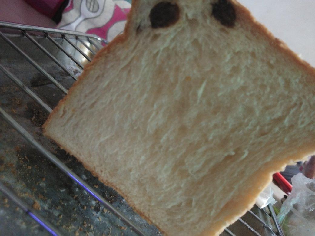 100%中种冷藏发酵