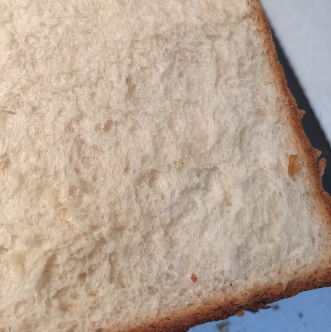 无糖低油--超软蜂蜜吐司