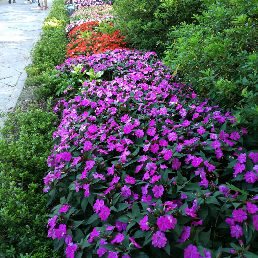 手机用户3227_xe7d的厨房