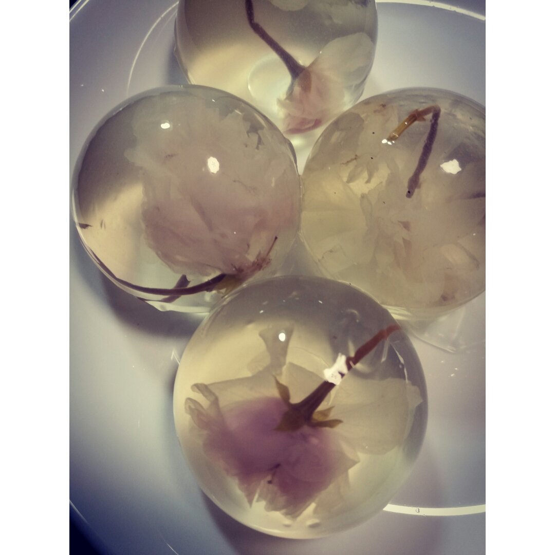 樱花水信玄饼