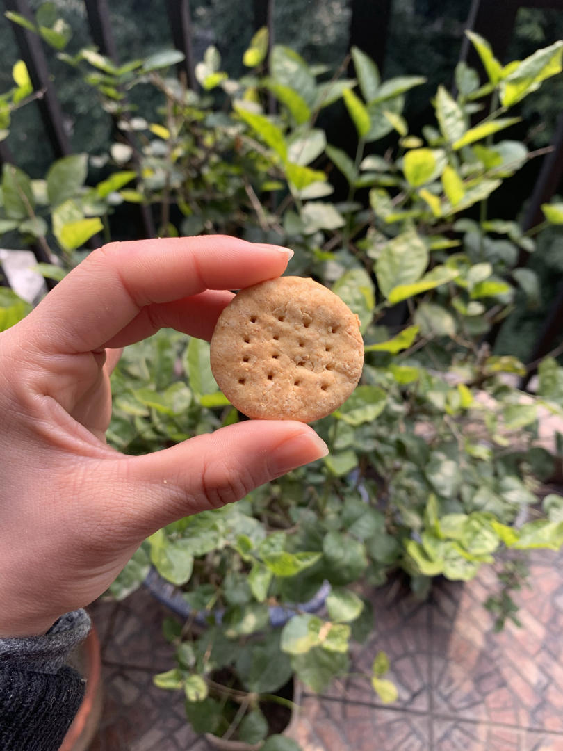 自制雪花酥小奇福饼干