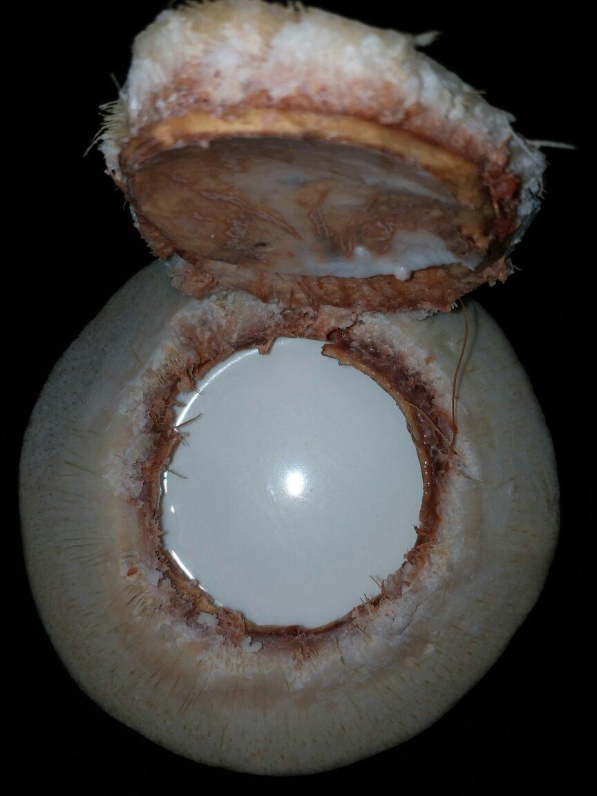 超好吃的双色椰子冻