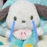 那么今天吃啥好呢