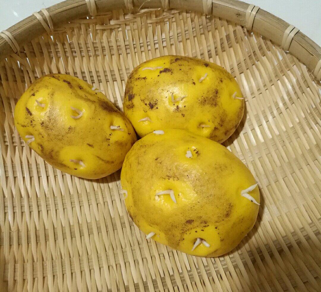 (土豆)馒头