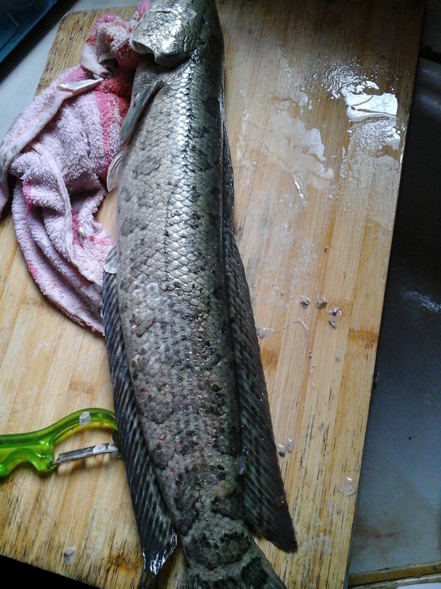 浓香四溢的黑鱼酸菜汤