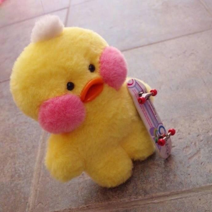孓椰