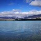 莎莉并不会做饭