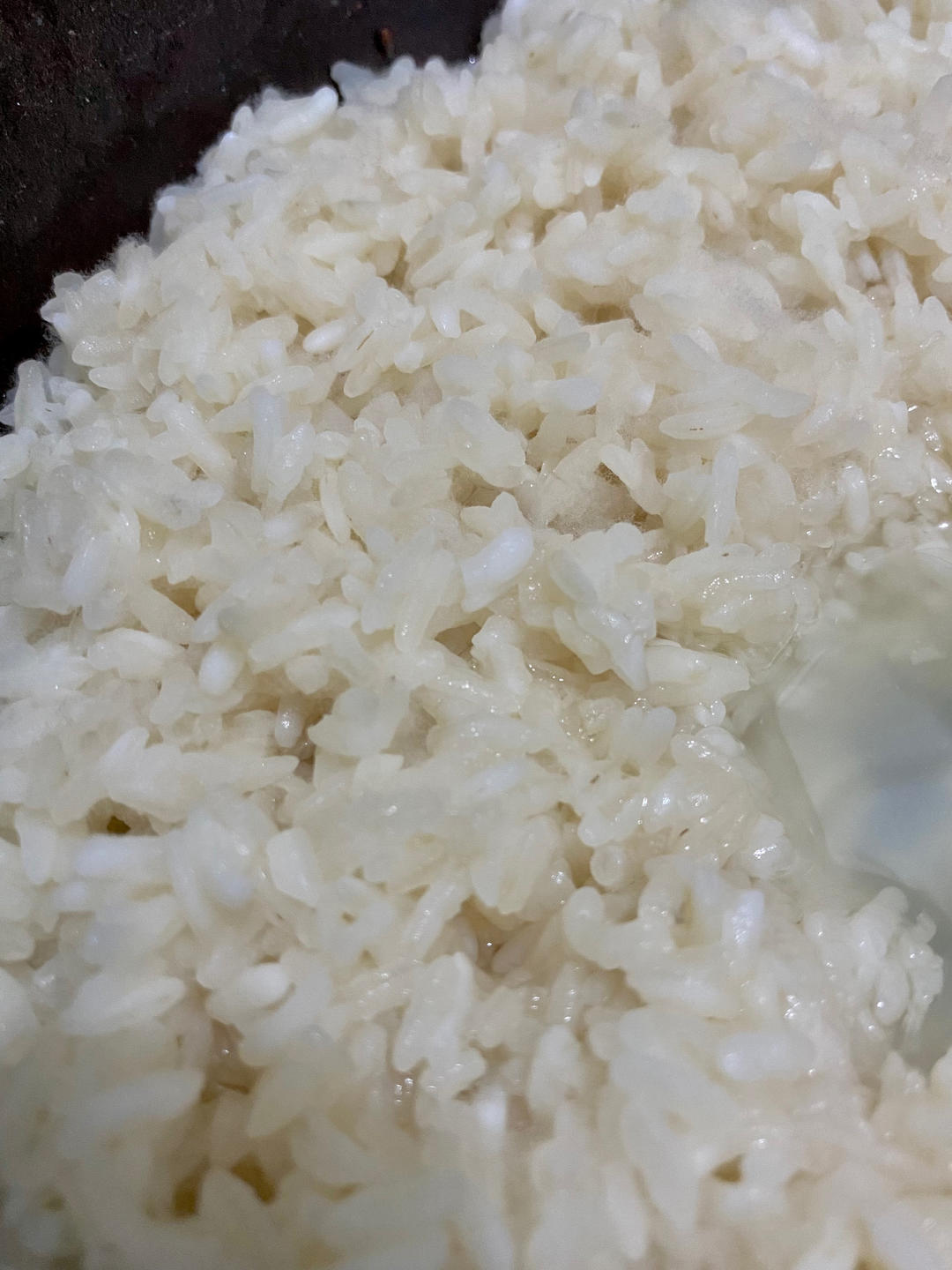 （自用）醪糟