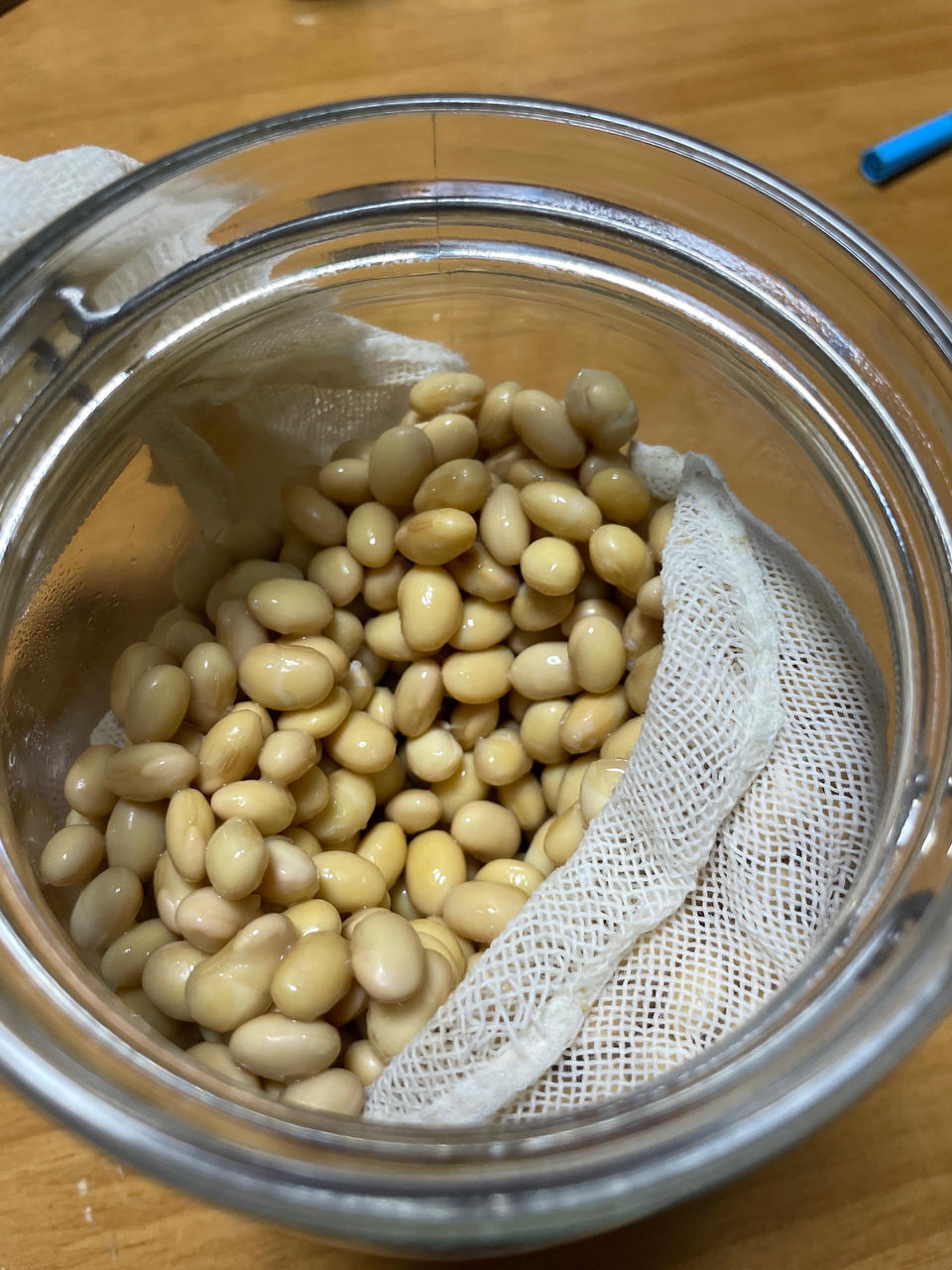 自制干豆豉+水豆豉