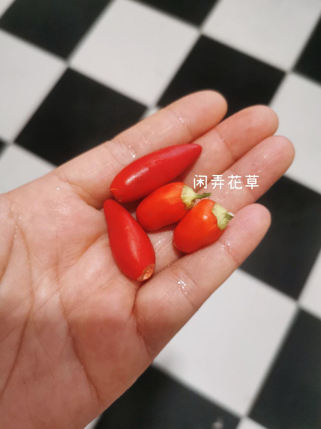 红油抄手（红油+薄皮四鲜馄饨详细步骤）