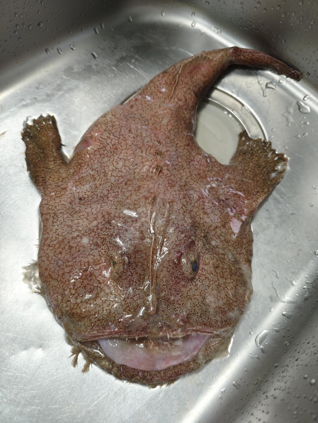 荠菜豆腐安康鱼汤