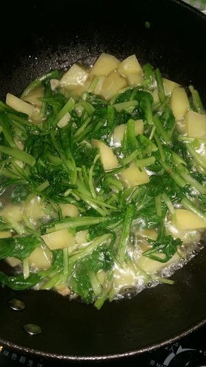 小白菜炖土豆的做法 步骤3