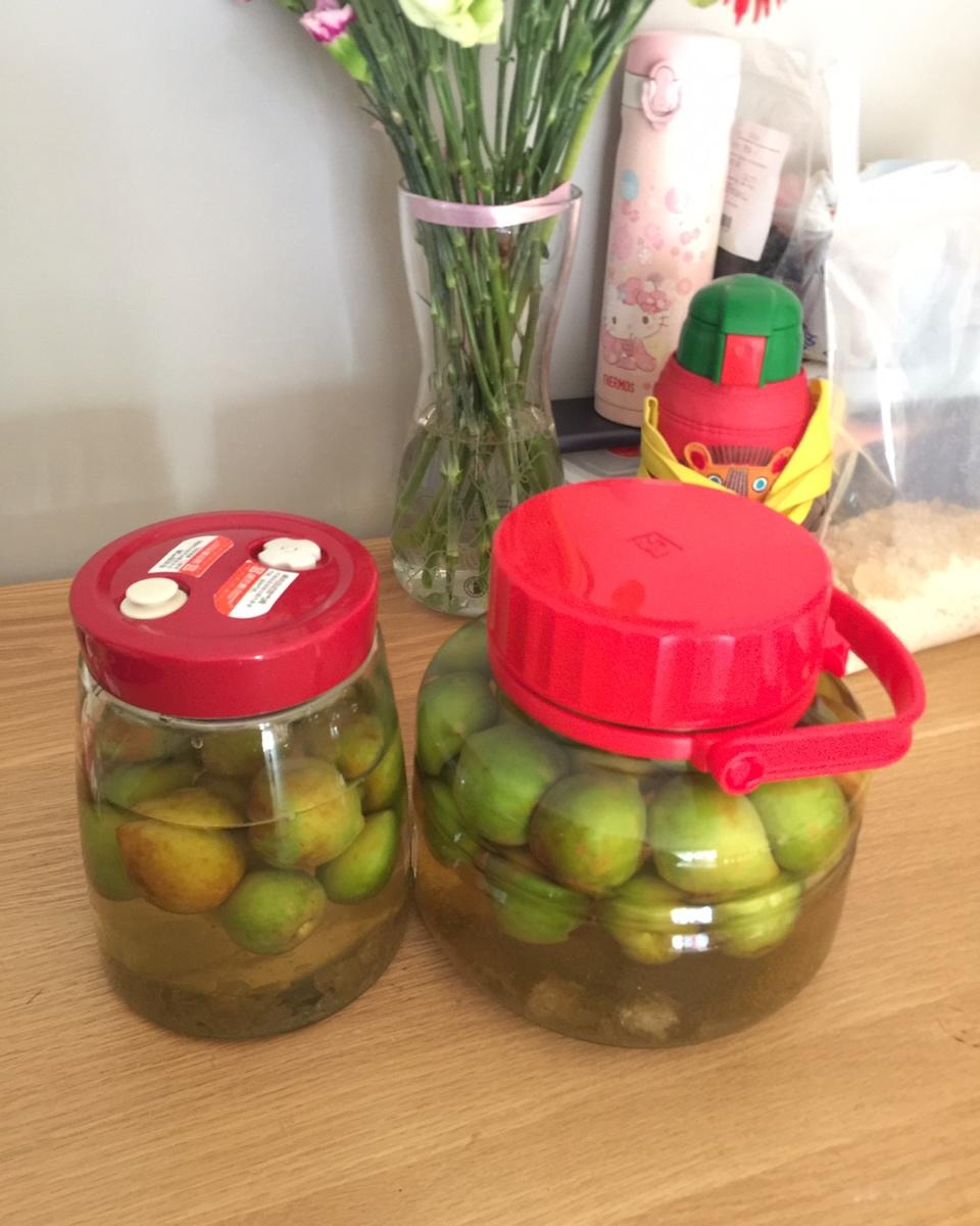 【青梅酒】梅子的沉醉时光（已填坑）