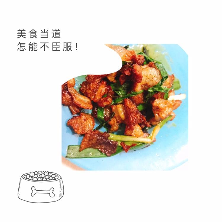 瘦身系列—生酮法