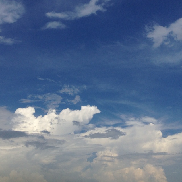 小白的酸酸意面