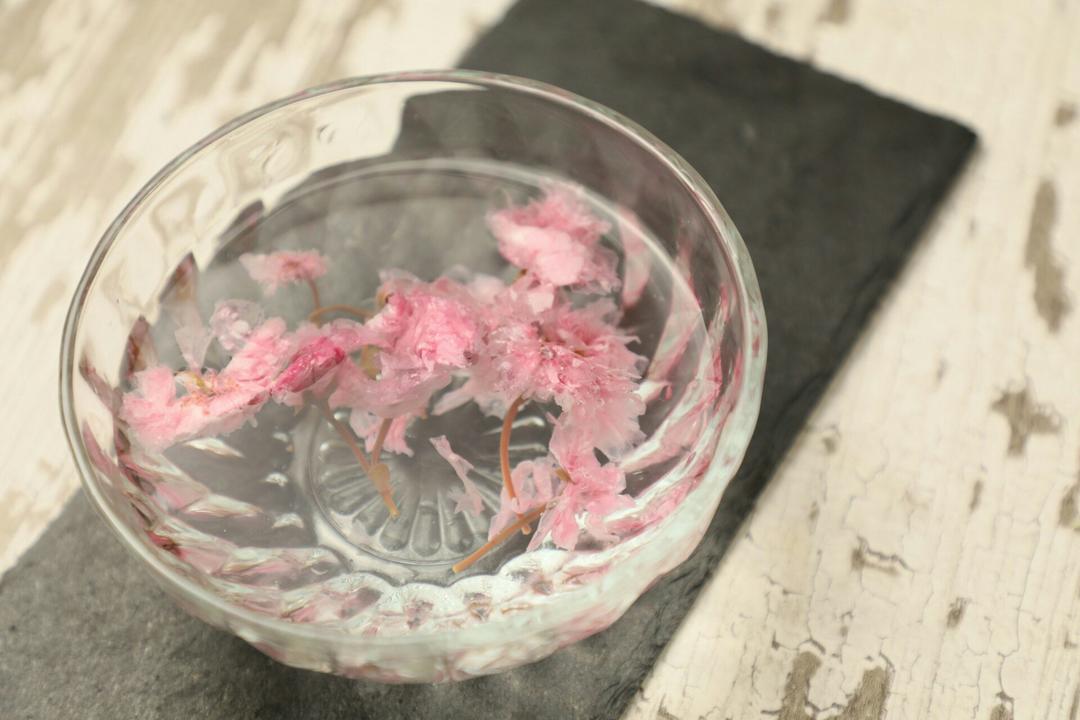 日本最温柔的梦幻和菓子 — 水信玄饼