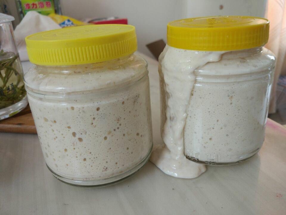 天然酵母宝宝养成记