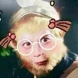 周吴郑王啊