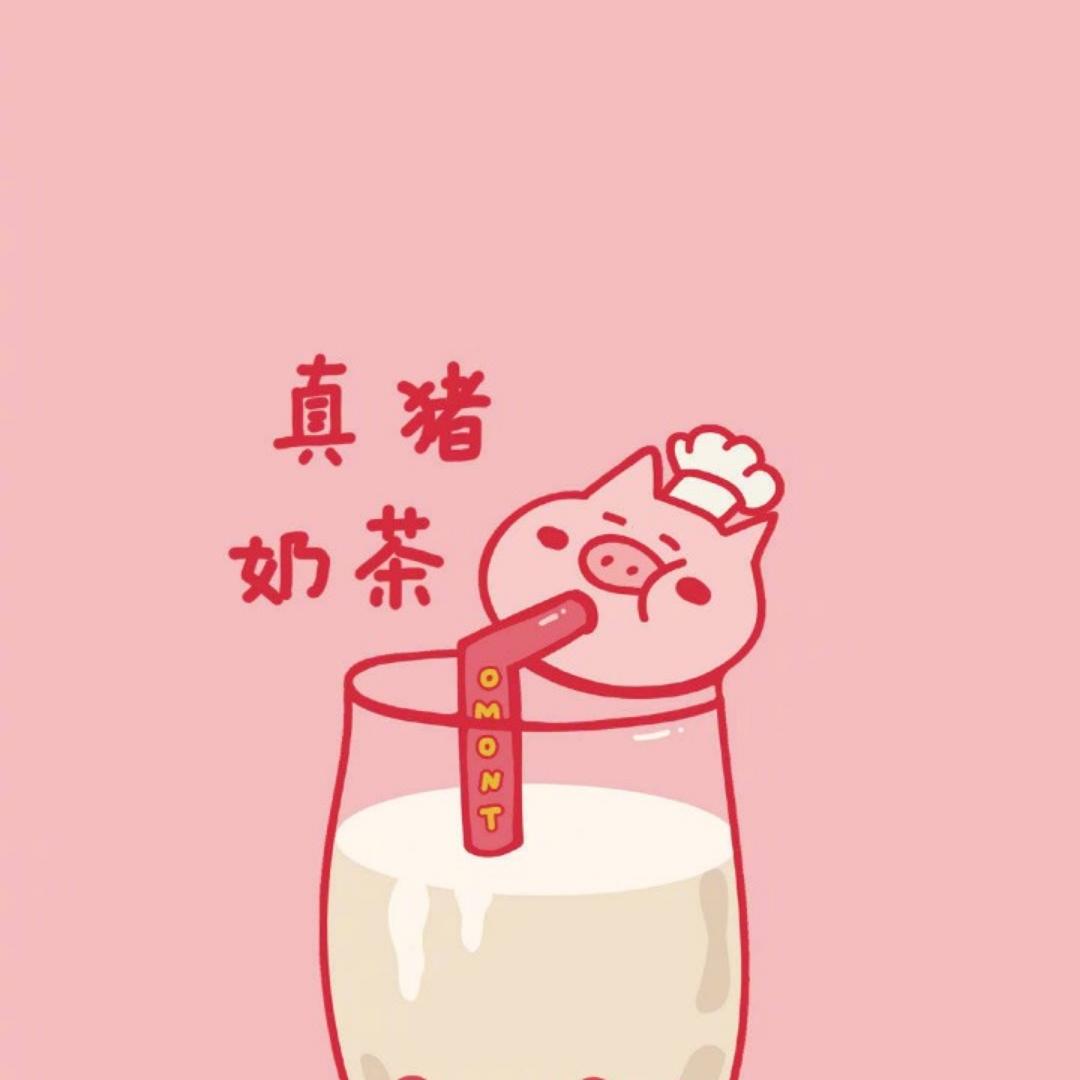 多多爱马