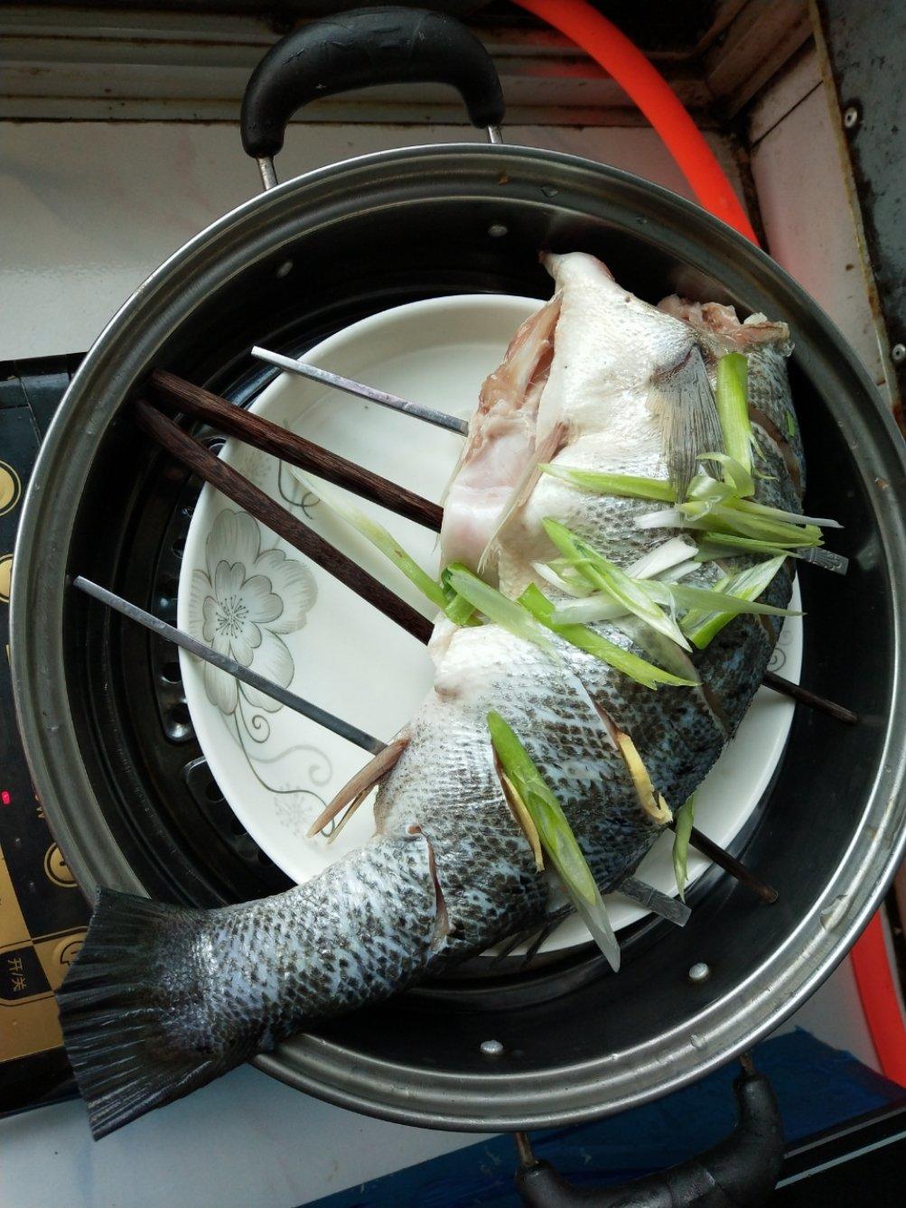 新手零失败的清蒸鲈鱼