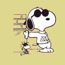 史努比的小猎犬