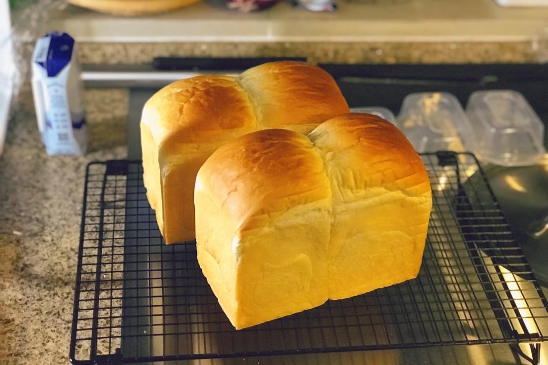 北海道吐司·70%中种