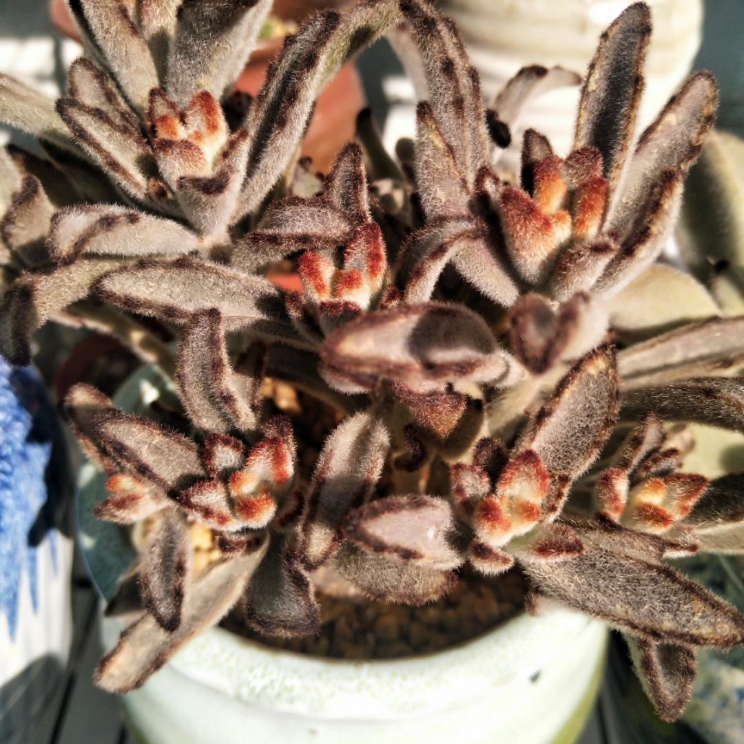 5852_莹莹