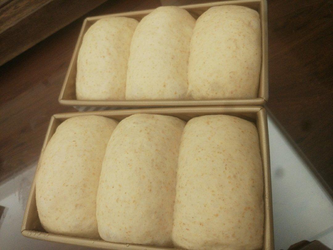 波兰种(Poolish种）全麦吐司