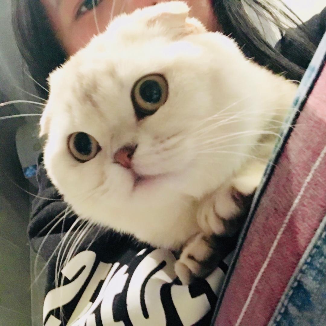 成田凌的女朋友