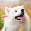 SandyFok_0711