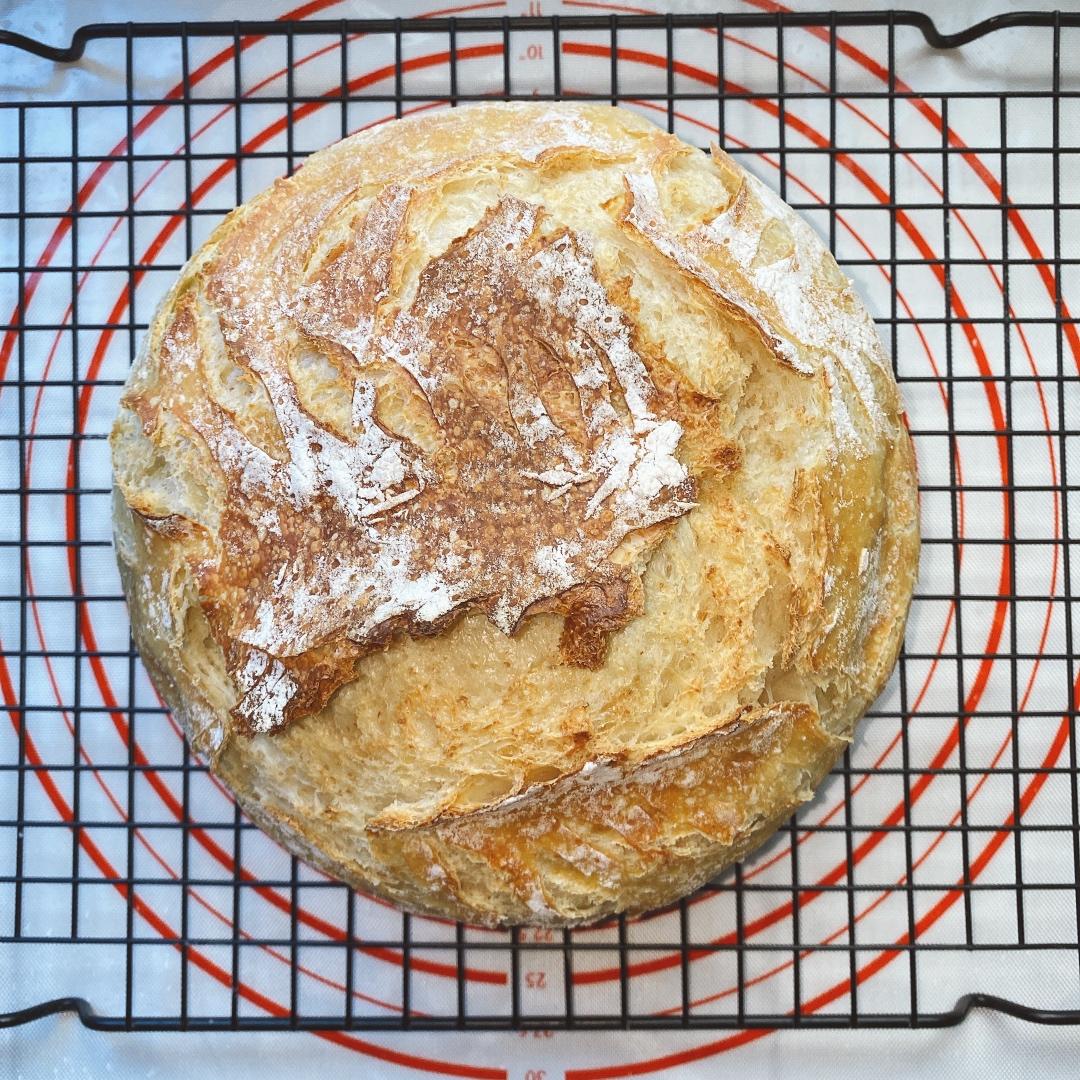 🍞免揉欧包新手入门指南（冷藏发酵、无油无糖）