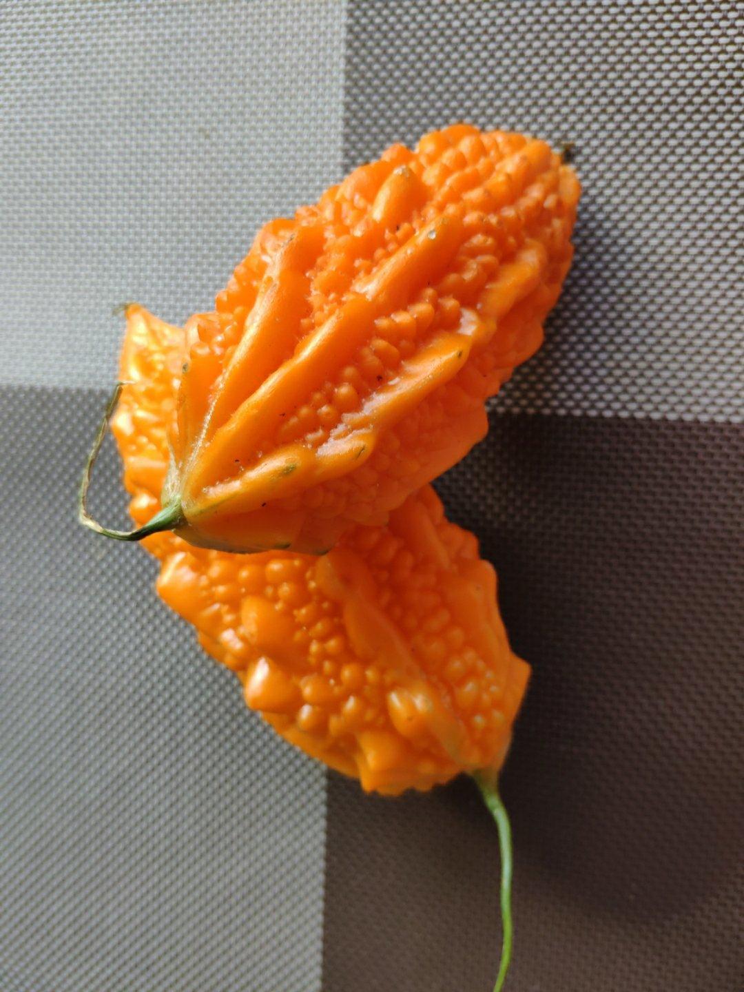 无糖无油100%全麦馒头 ｜ #Healthymeals#