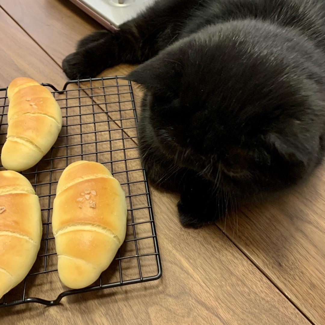 网络爆红的盐面包