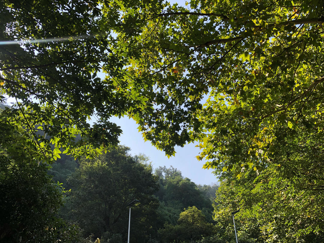 看着看着就饿了