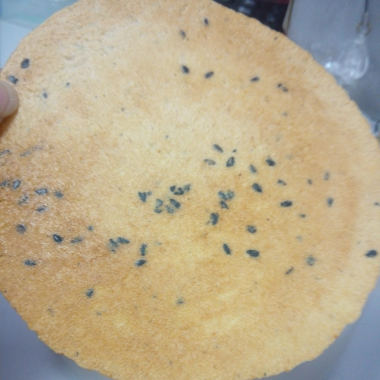 玉米馃片（完美复刻野娇娇）