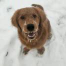 小姐姐爱做饭my