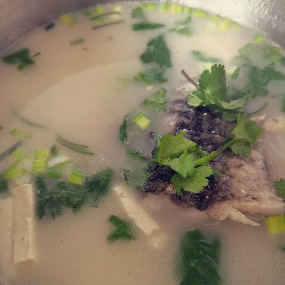 豆腐鲫鱼汤
