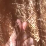 yy的老公爱吃甜品