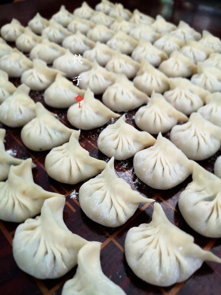 韭菜猪肉饺子(最简单最好吃又最多汁的饺子)