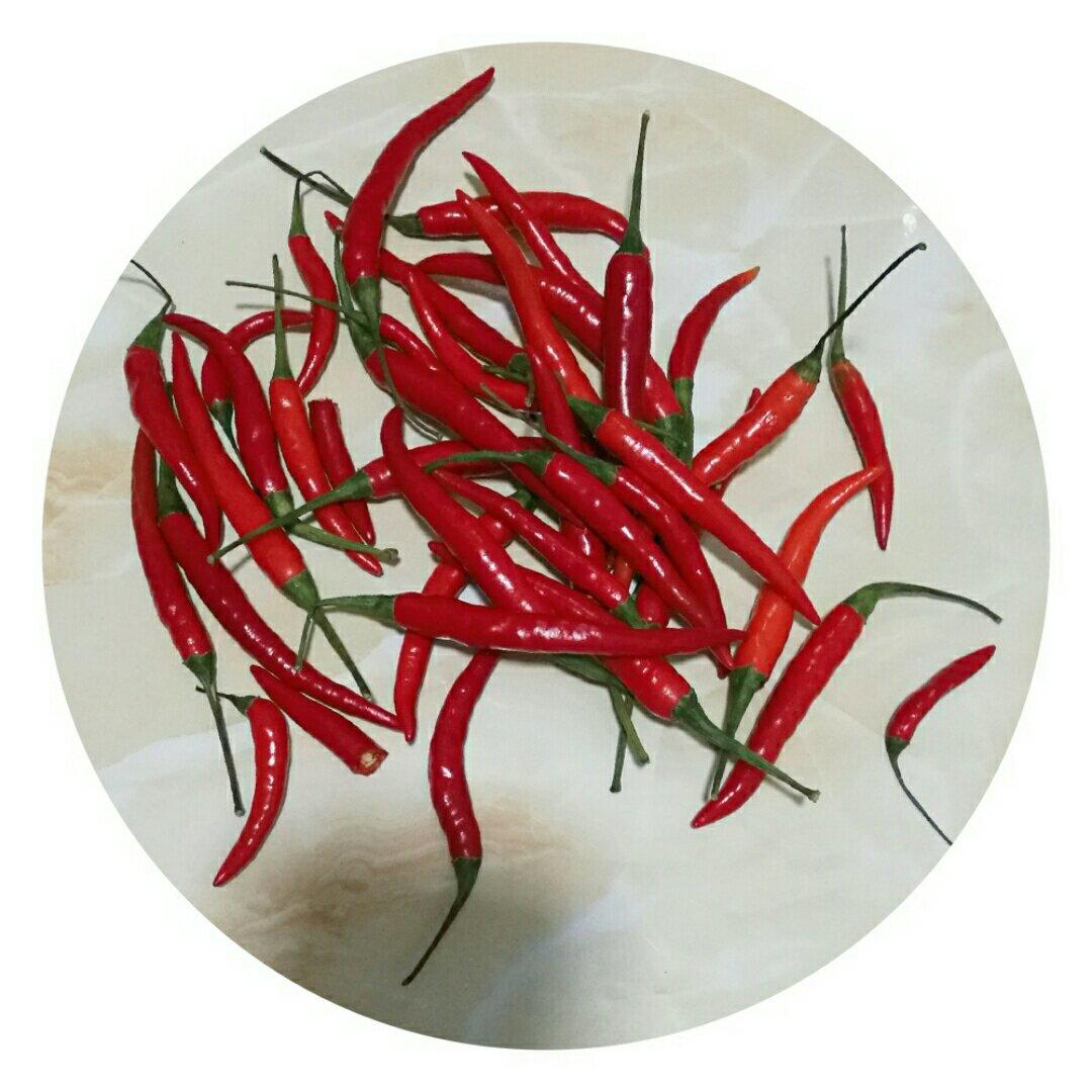 鲜橙吐司