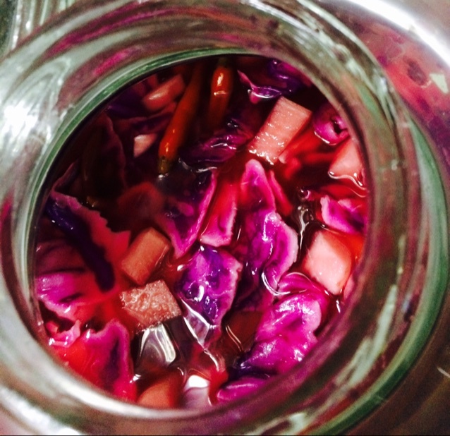 正宗泡菜！在哪都可以做的四川泡菜！超详细呕心沥血教程！