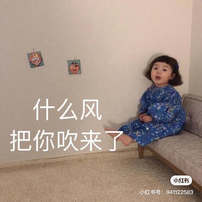 他入硪心