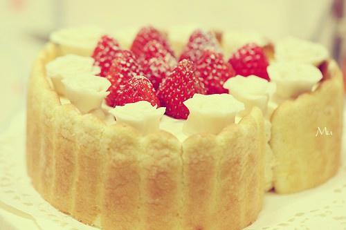 蛋糕坯子。裱花蛋糕。....by安的封面