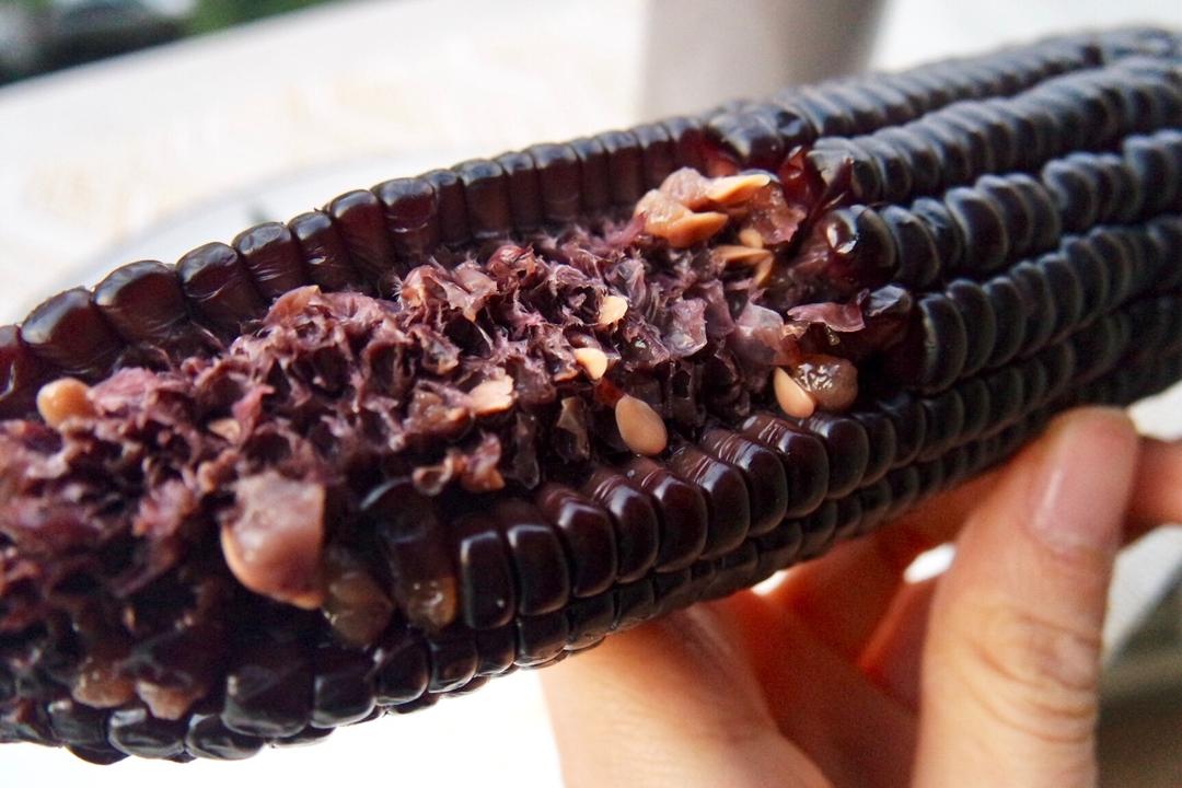 我说飞机你说逗做的水煮黑玉米