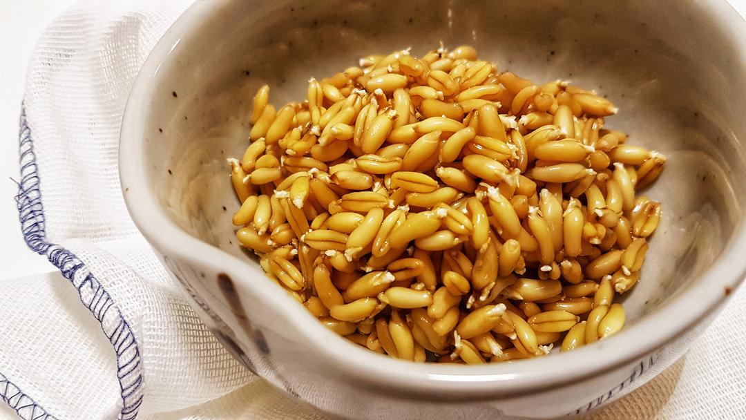 isabella_king做的【健康三餐】发芽小麦饭