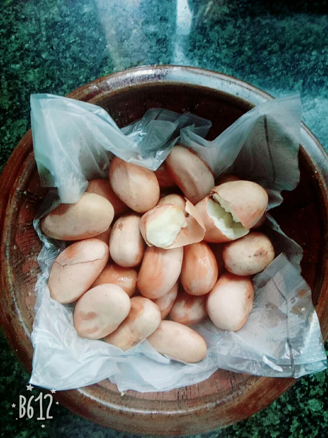 菠萝蜜核