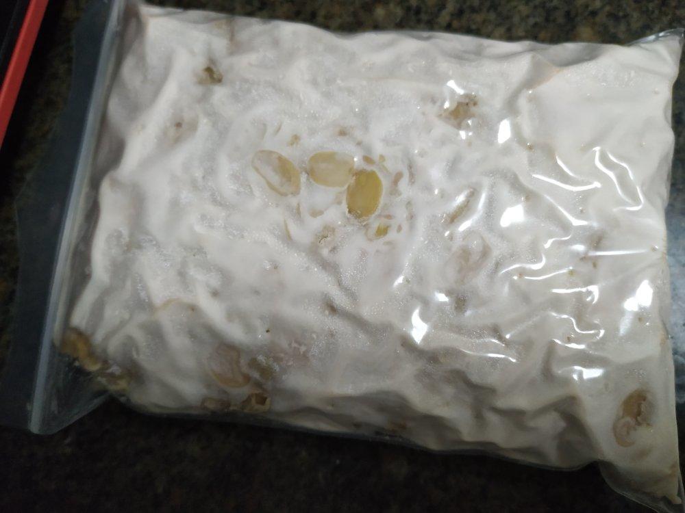 自制黄豆天贝丨发酵·豆类